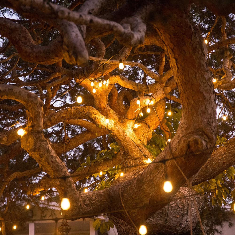 addlon 54 FT Solar String Lights with USB