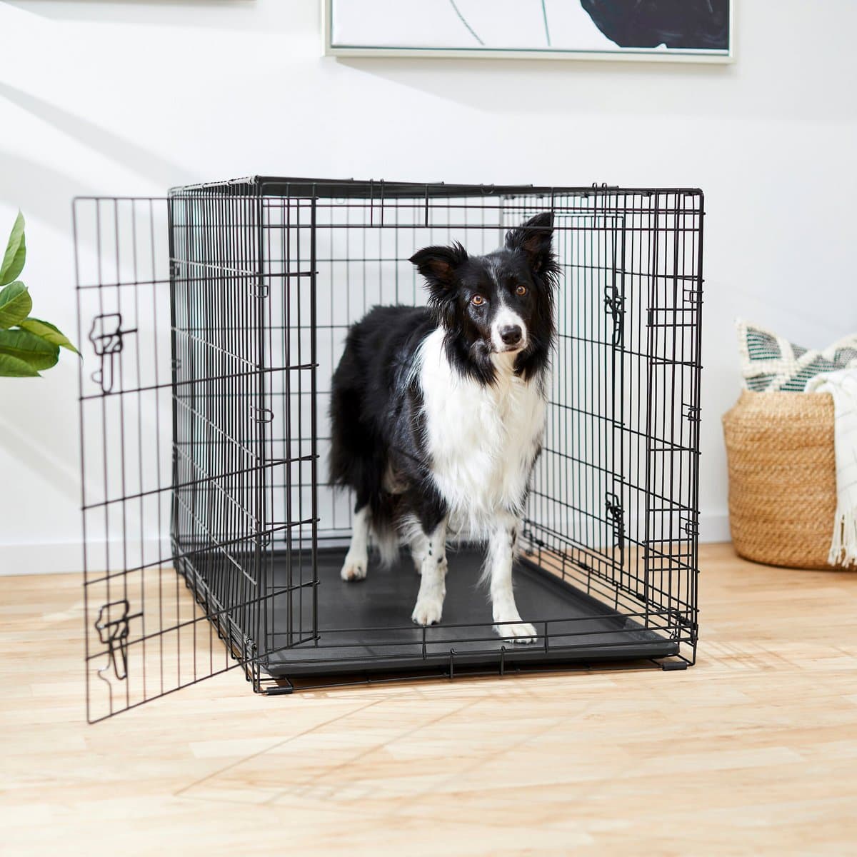 Frisco Fold & Carry Double Door Wire Crate