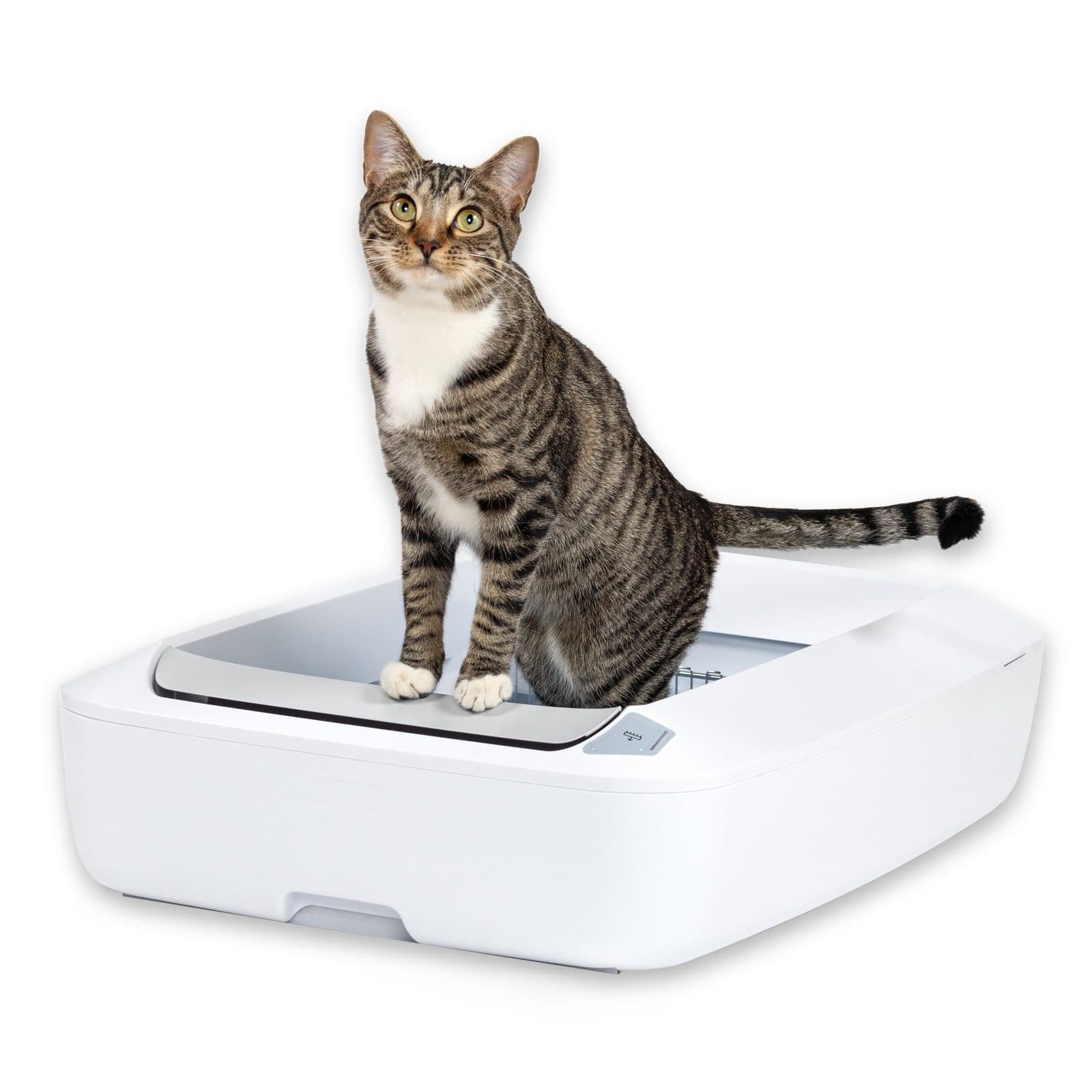 PetSafe ScoopFree Crystal Plus